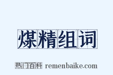 煤精组词是什么意思的图片